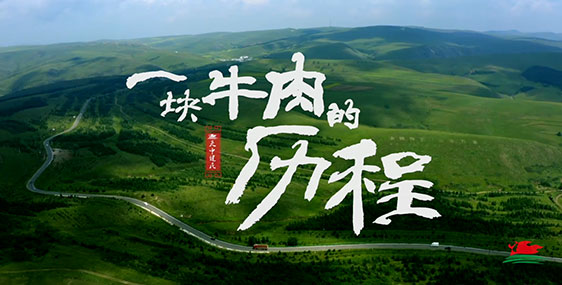 一块牛肉的历程